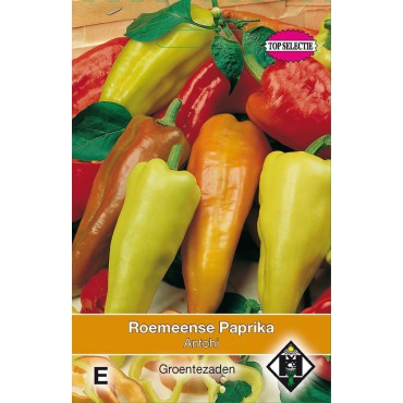 Roemeense Paprika, Capsicum annuum 'Antohi'
