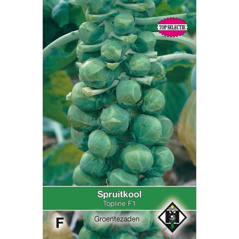 Spruitkool, Brassica oleracea gemmifera 'Topline F1' Spruitkool, Brassica oleracea gemmifera 'Topline F1'