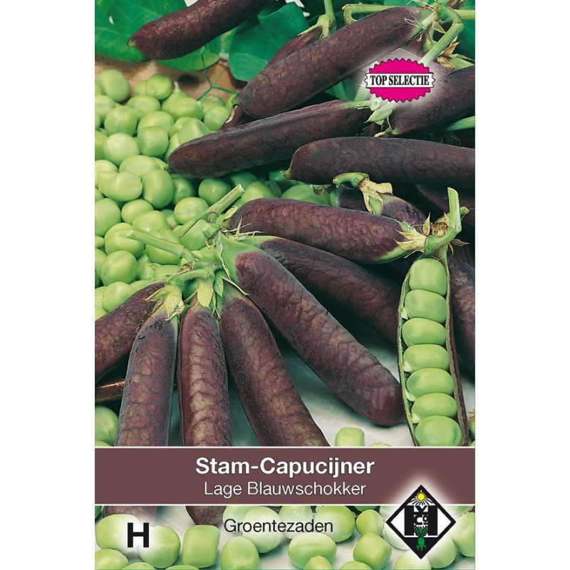 Stamcapucijner, Pisum sativum 'Lage Blauwschokker', 50 gr. Stamcapucijner, Pisum sativum 'Lage Blauwschokker', 50 gr.
