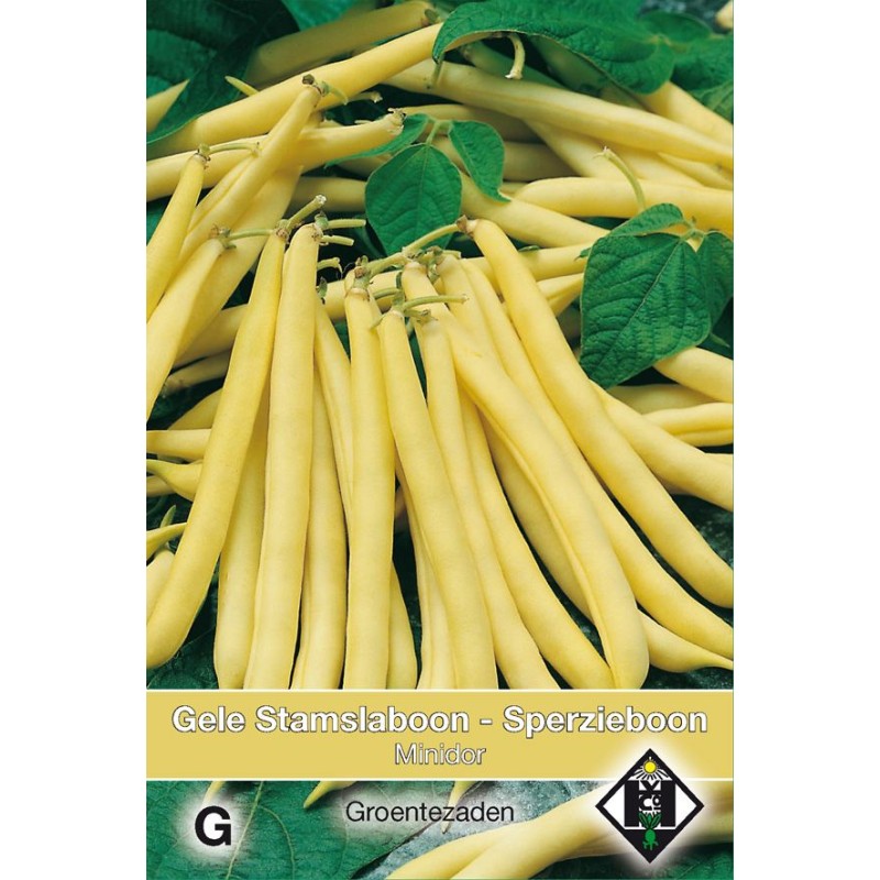 Stamslaboon - Sperzieboon, Phaseolus vulgaris 'Minidor', 30 gr. Stamslaboon - Sperzieboon, Phaseolus vulgaris 'Minidor', 30 gr.