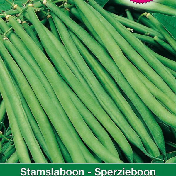 Stamslaboon - Sperzieboon, Phaseolus vulgaris Célio, 30 gr.