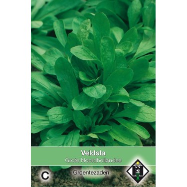 Veldsla, Valerianella locusta 'Grote Noordhollandse' Veldsla, Valerianella locusta 'Grote Noordhollandse'