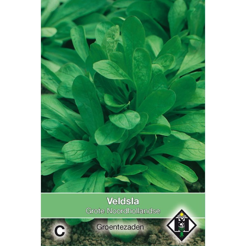 Veldsla, Valerianella locusta 'Grote Noordhollandse' Veldsla, Valerianella locusta 'Grote Noordhollandse'