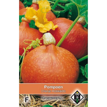 Pompoen, Cucurbita maxima 'Oranje Hokkaido'