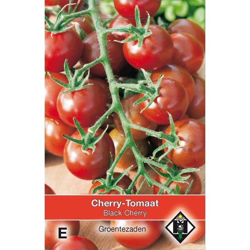 Cherry-Tomaat Black Cherry Cherry-Tomaat Black Cherry