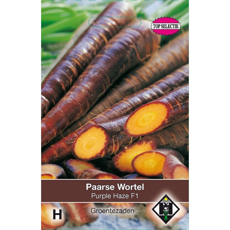 Paarse Wortel Purple Haze Paarse Wortel Purple Haze