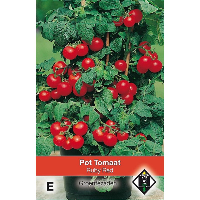 Pot tomaat Ruby Red Pot tomaat Ruby Red