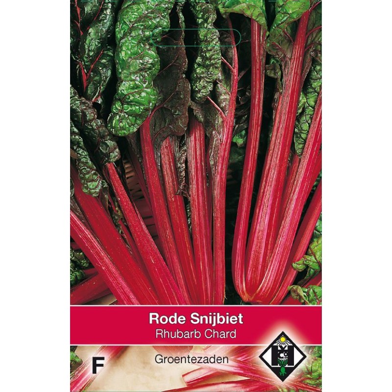 Snijbiet Rhubarb Chard Snijbiet Rhubarb Chard