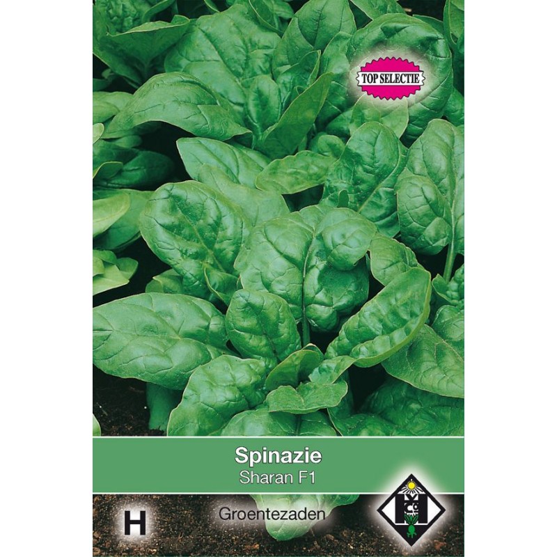 Spinazie Sharan F1, 35 gr. Spinazie Sharan F1, 35 gr.