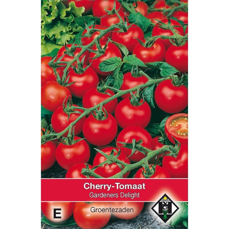 Tomaat Gardeners Delight Tomaat Gardeners Delight