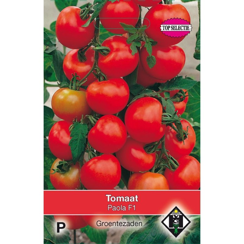 Tomaat Paola F1 Tomaat Paola F1