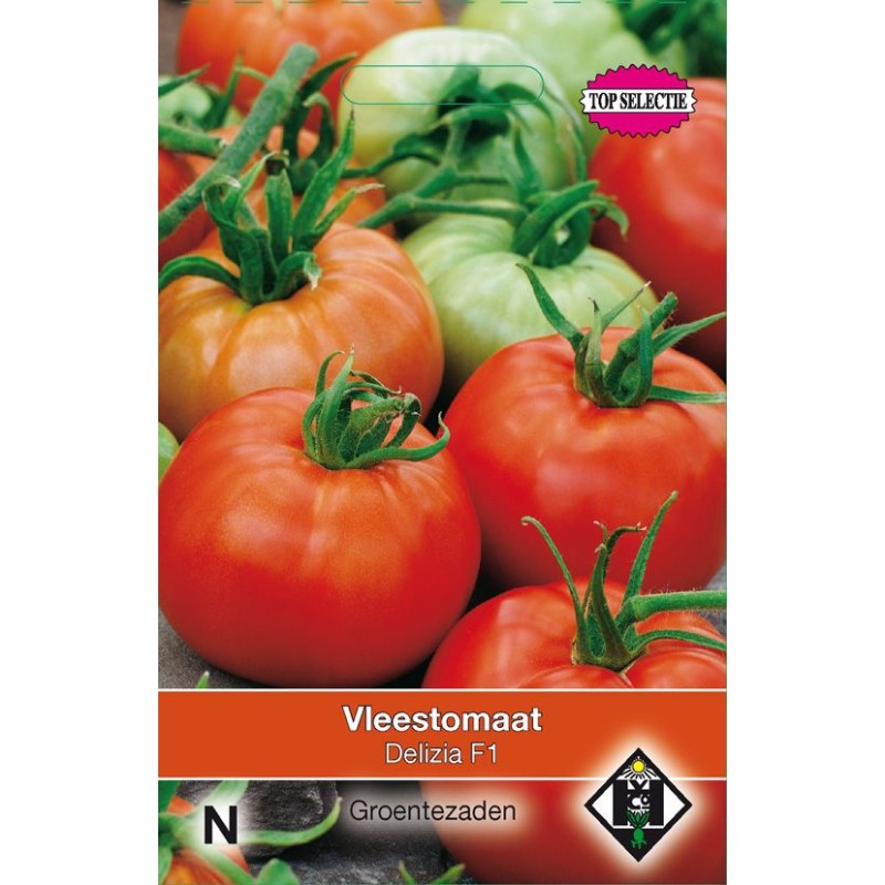 Vleesttomaat Delizia F1 Vleesttomaat Delizia F1