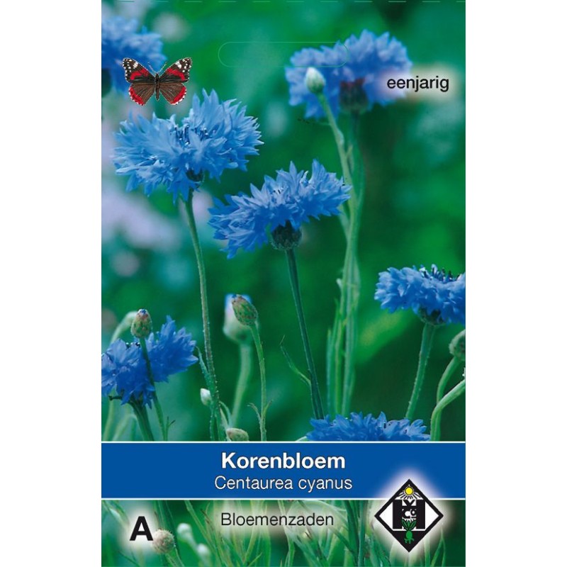 Centaurea cyanus enkele blauw
