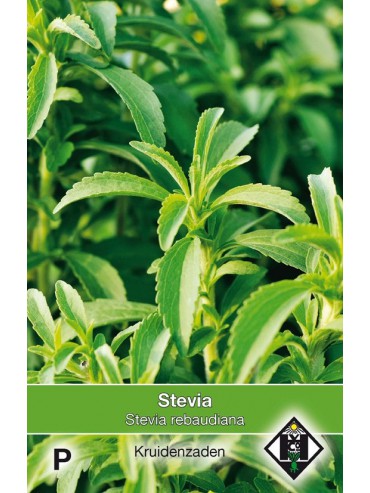 Stevia, Stevia rebaudiana