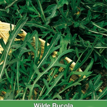 Wilde Rucola Sylvetta / Diplotaxis Wilde Rucola Sylvetta / Diplotaxis