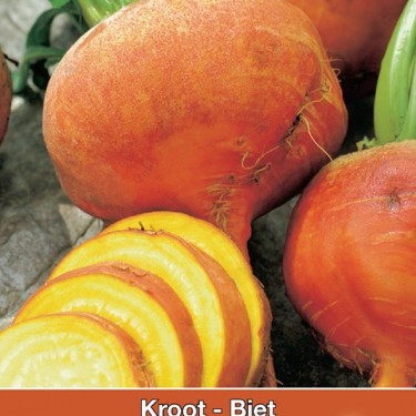 Biet - Kroot, Beta vulgaris 'Burpees Golden' Biet - Kroot, Beta vulgaris 'Burpees Golden'