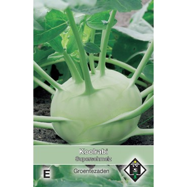 Koolrabi, Brassica oleracea gongylodes 'Superschmelz'