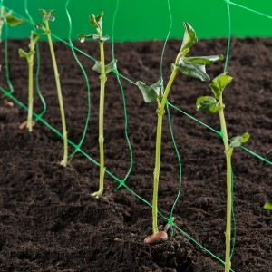 Tuinnet, Klim-groei- en geleidenet