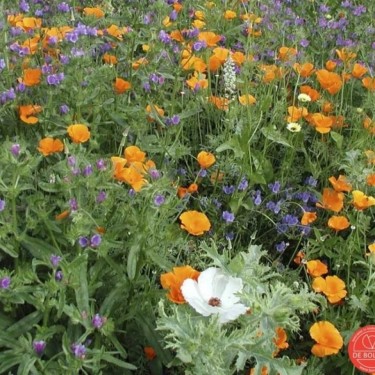 Bloemenmengsel Middelhoog