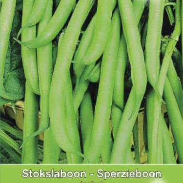 Stokslaboon, Phaseolus vulgaris 'Isabel', 30 gr. Stokslaboon, Phaseolus vulgaris 'Isabel', 30 gr.