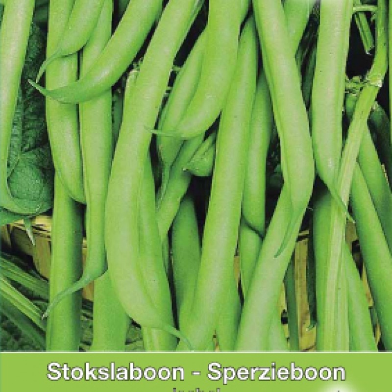 Stokslaboon, Phaseolus vulgaris 'Isabel', 30 gr.