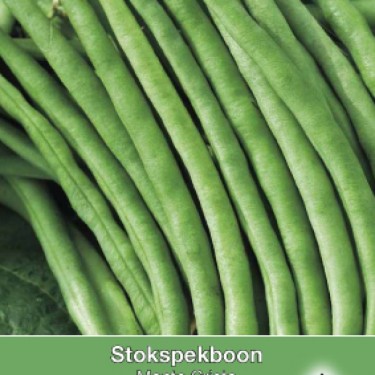 Stokspekboon, Phaseolus vulgaris 'Monte Cristo' , 30 gr. Stokspekboon, Phaseolus vulgaris 'Monte Cristo' , 30 gr.