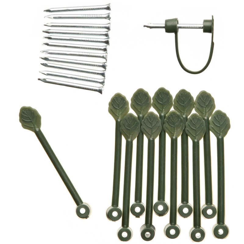 Plantenklemmen, Clematis