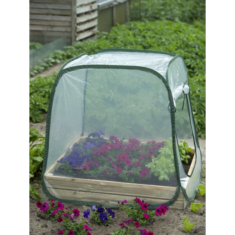 Pop-up kas voor een vierkante-meter-tuin Pop-up kas voor een vierkante-meter-tuin