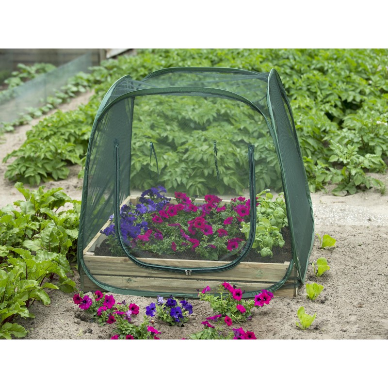 Pop-up kas voor een vierkante-meter-tuin -insectengaas- Pop-up kas voor een vierkante-meter-tuin -insectengaas-