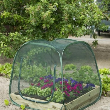Pop-up kas voor een vierkante-meter-tuin -insectengaas-