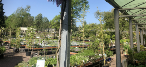 It is spring and we are walking with our family at Keukenhof. We enjoy everything that blooms in the world's most beautiful spring park. Sometimes we notice something new that we don't know. That's beautiful, that's special, that might be something for our business. 