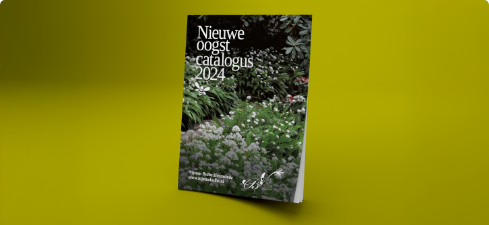 If you are interested in detailed information, interesting facts, meaningful stories or want to make your choice based on the richly illustrated, 252-page catalogue, please send a request.